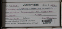 Image Associated With the Occurence